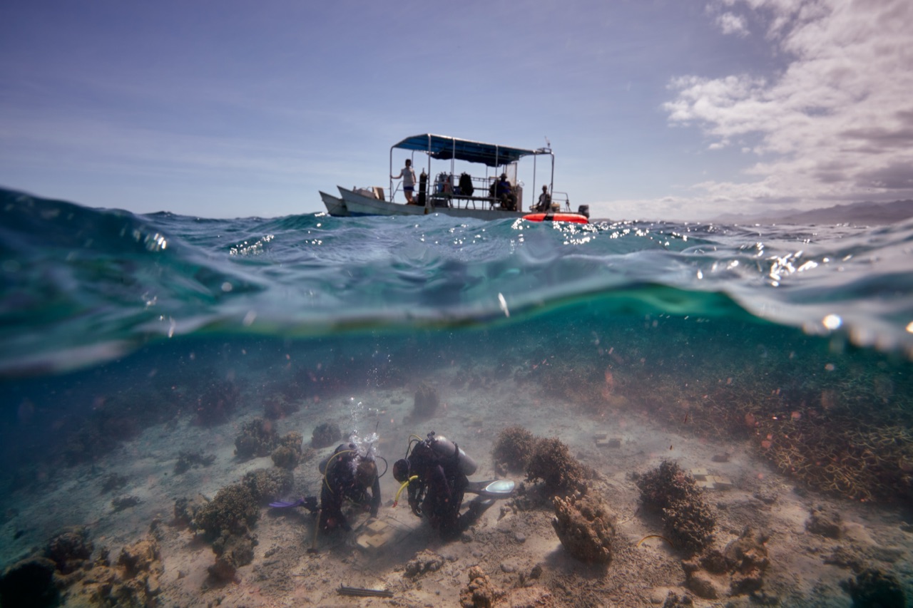 Split shot of a boat above and divers working on coral restoration structures below, Fiji